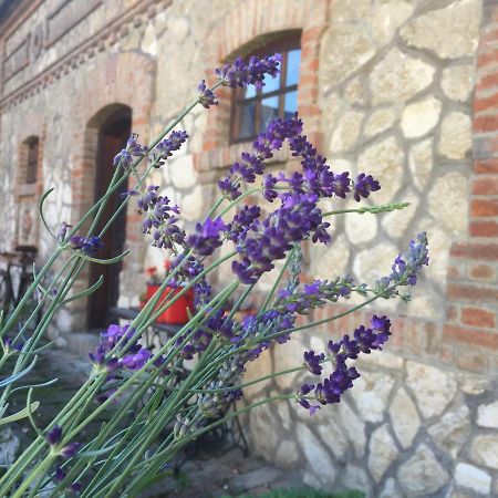 Levendula Porta és Pajtaszínház Hotel Orfű Exterior foto